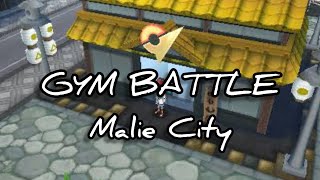 POKEMON GYM BATTLE AT MALIE CITY