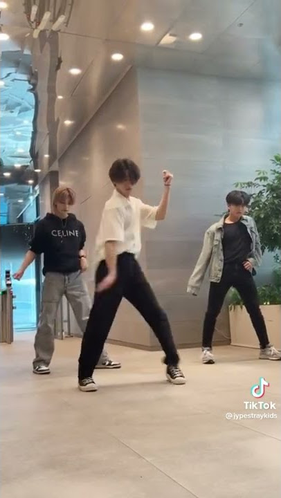 Stray Kids TikTok Update (Han, Hyunjin & Changbin)