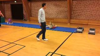 VID-20110917-WA0001.mp4