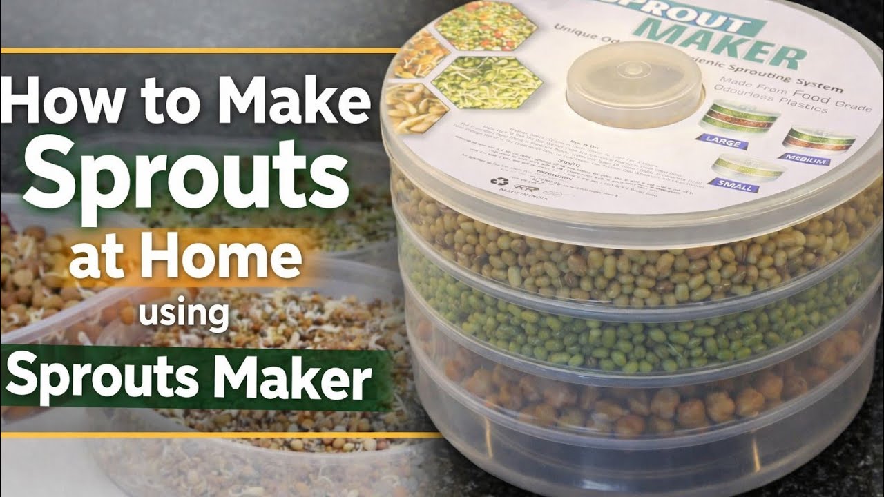 Sprout Make Sprout Maker | How to Make Sprouts at Home Easily | How to use Sprout ...