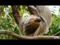 Stano Boy Mziki Official Audio Lyrics рџ Ґрџ Ґрџ Ґрџ Ґ Stano Boy Mziki Official Audio Lyrics рџ Ґрџ Ґрџ Ґрџ Ґ