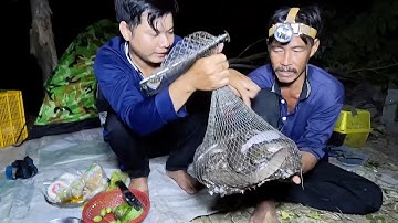 Cắm Câu Cá Lóc Đêm Thấy Mê Không Thất Vọng Làm Nồi Cháo Khuya Nhâm Nhi Hết Sảy |T349