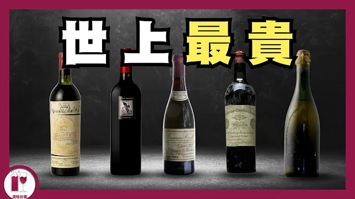 盘点十大最贵葡萄酒 | 每一支都可轻松付楼价首期的神之水滴  | 世界名酒系列｜Most Expensive wine in the world（粤语中字）【酒瓶故事】 - 天天要闻