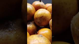 3 Pieces of Medlar Do These To Your Body In The Evening | What are the Benefits of Medlar?