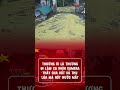 THƯƠNG ơi là thương! Đi làm xa nhìn camera cảnh cha gom lúa giữa trời mưa mà rớt nước mắt| VTV News.