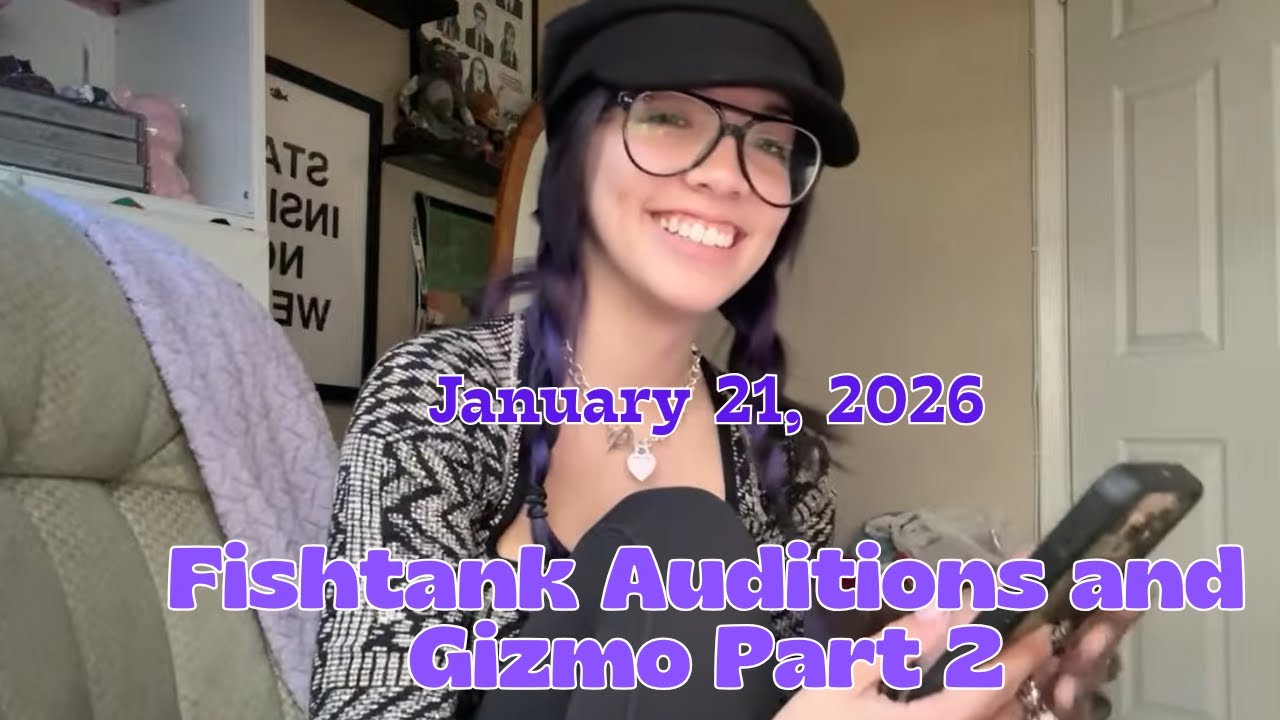 Back from Lunch - Chat Stream! and Gizmo Lego Part 2