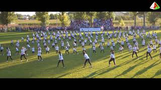 Lino Golden - Panamera - Choreography by Club Sportiv BRAKA