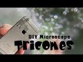 Check your Tricomes with this DIY Video microscope