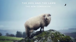 The Dog And The Lamb - The New Companion