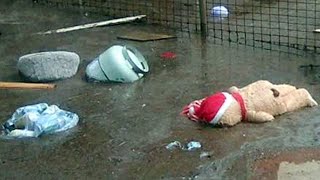 FLOODING AFTERMATH QLD AUSTRALIA