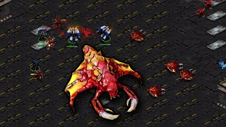 What if Drones were Invincible? (Without Dark Swarm)