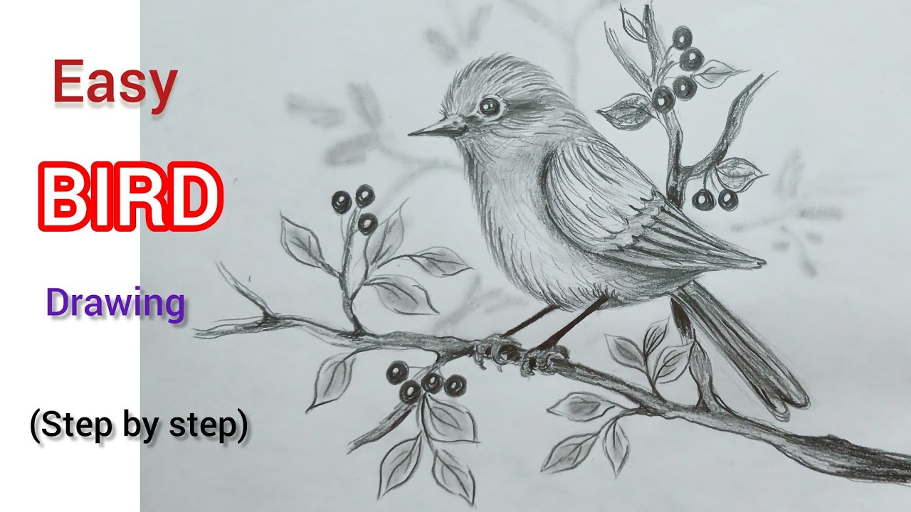 How to draw a bird senery with pencil step by step || pencil drawing ...