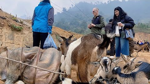 Chợ phiên cốc ly đầu năm mới bày bán rất nhiều dê - lợn bản đông đủ | Thắng Vùng Cao