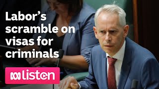Labor’s scramble on visas for criminals | ABC News Daily podcast