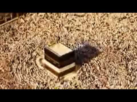 انا نفسي ازور وايكم الصلاه علي النبي