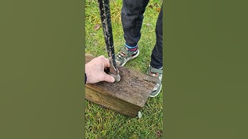 Splitting a dactylioceras #ammonite #fossil nodule with a hammer #whitby #fossilhunter #shorts