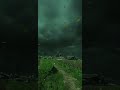 Perhaps some souls aren't afraid of the storm#WindVibes #MoodyAtmosphere #StormLovers #AestheticReel