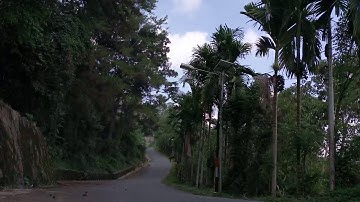 Langang di Nan Rami (An Roys)