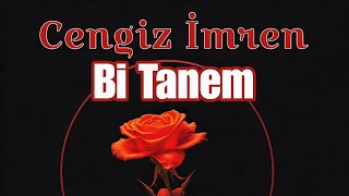 Cengiz İmren - Bi Tanem (Krocki Anatolian Rock)