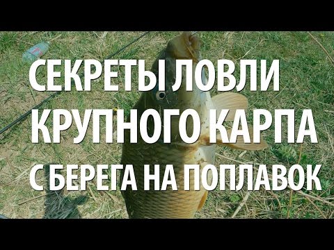 поплавочная снасть для ловли крупного карася