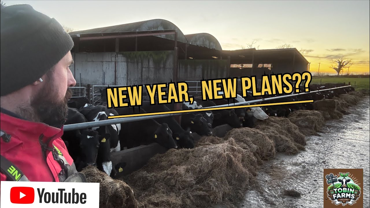 FROST, NEW TECHNOLOGY, NEW YEAR