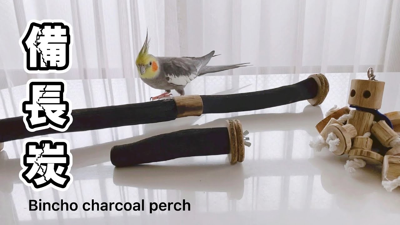 備長炭止まり木✨止まり木⭐️パーチ⭐️専用です(*^◯^