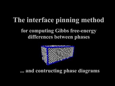 The interface pinning method