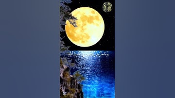 ماتيسر من سورة المزمل للقارئ #عبدالرحمن_مسعد #تلاوة_خاشعة #القرآن_الكريم #المصحف #اكسبلور