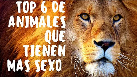 ¿Qué animal no tiene sexo?