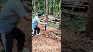 Manual Post Driving: Installing a Wooden Post with Ease