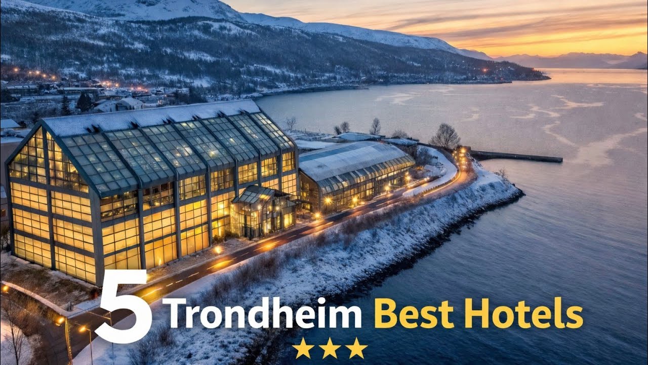 5 Best Hotels in Trondheim Norway for an Amazing Stay