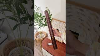 Makeover Pintu Toilet Budget 50Rban