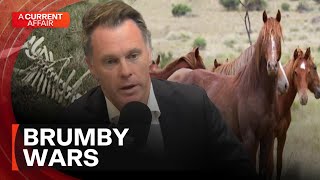 Controversy around wild horse management in NSW's Snowy Mountains | A Current Affair