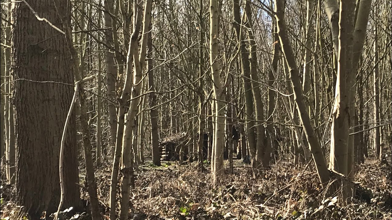 Episode 23 | Aftermath of Storm Gareth