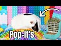 Guinea Pig Pop It House