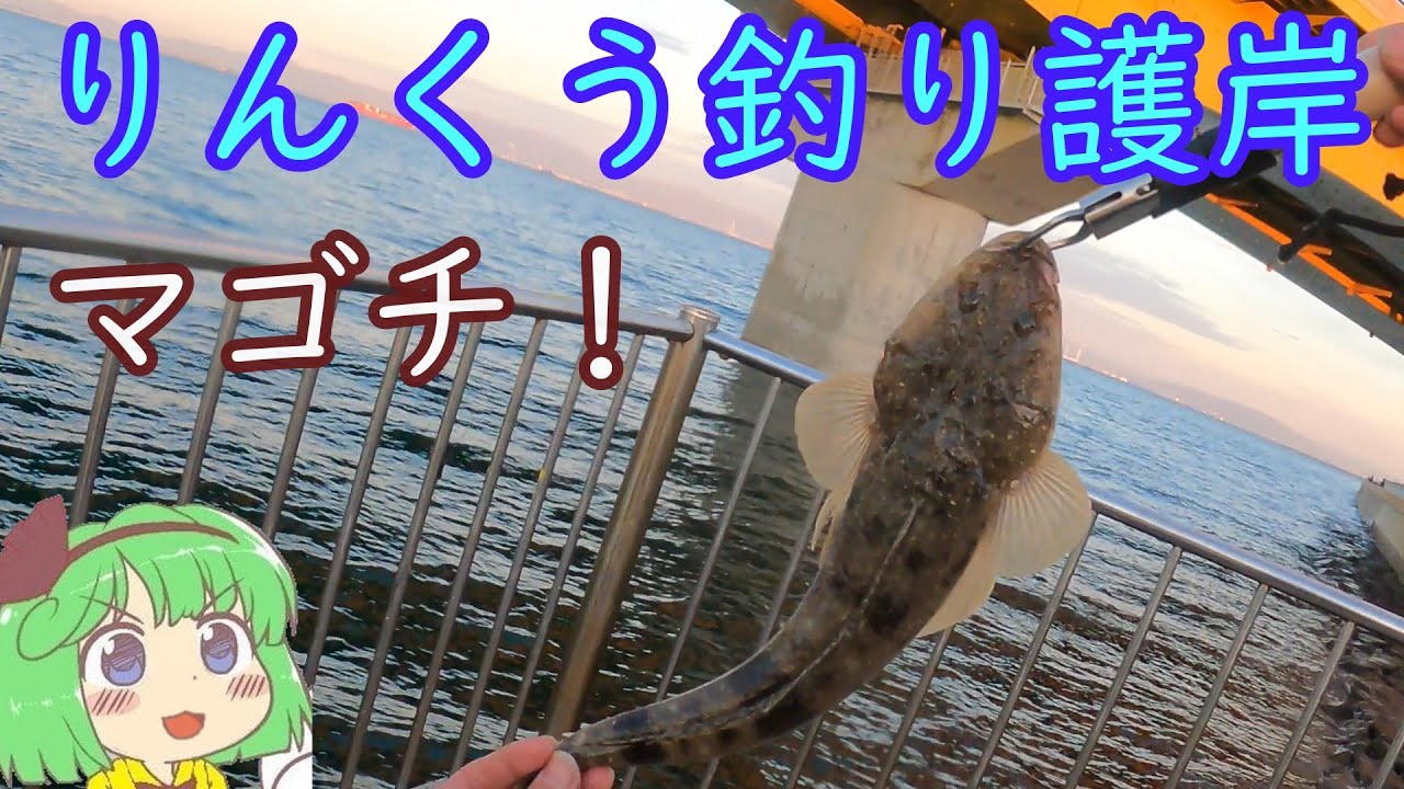 【知多半島】【りんくう釣り護岸】緑みょん妖夢　常滑りんくう釣り護岸　ルアーマゴチ！【ゆっくり実況】【ゆっくり料理】＃37