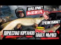 ЩУКА, ПРИВЕТ. МЫ ИЗ ПИТЕРА! Тренировки PAL 2025