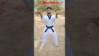 double middle outward block #teakwondo