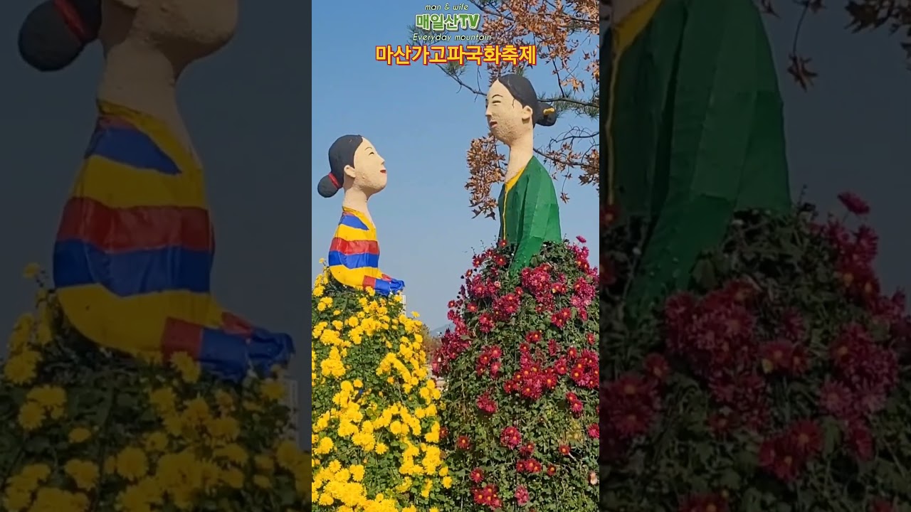 가을국화축제!!마산가고파국화축제#국화축제#꽃축제#마산국화축제#가을국화#가을가볼만한곳
