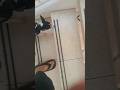 9268. Heel up open back stairs sit re-cue sit distractions foodcourt shopping centre 18 June 2026 AK