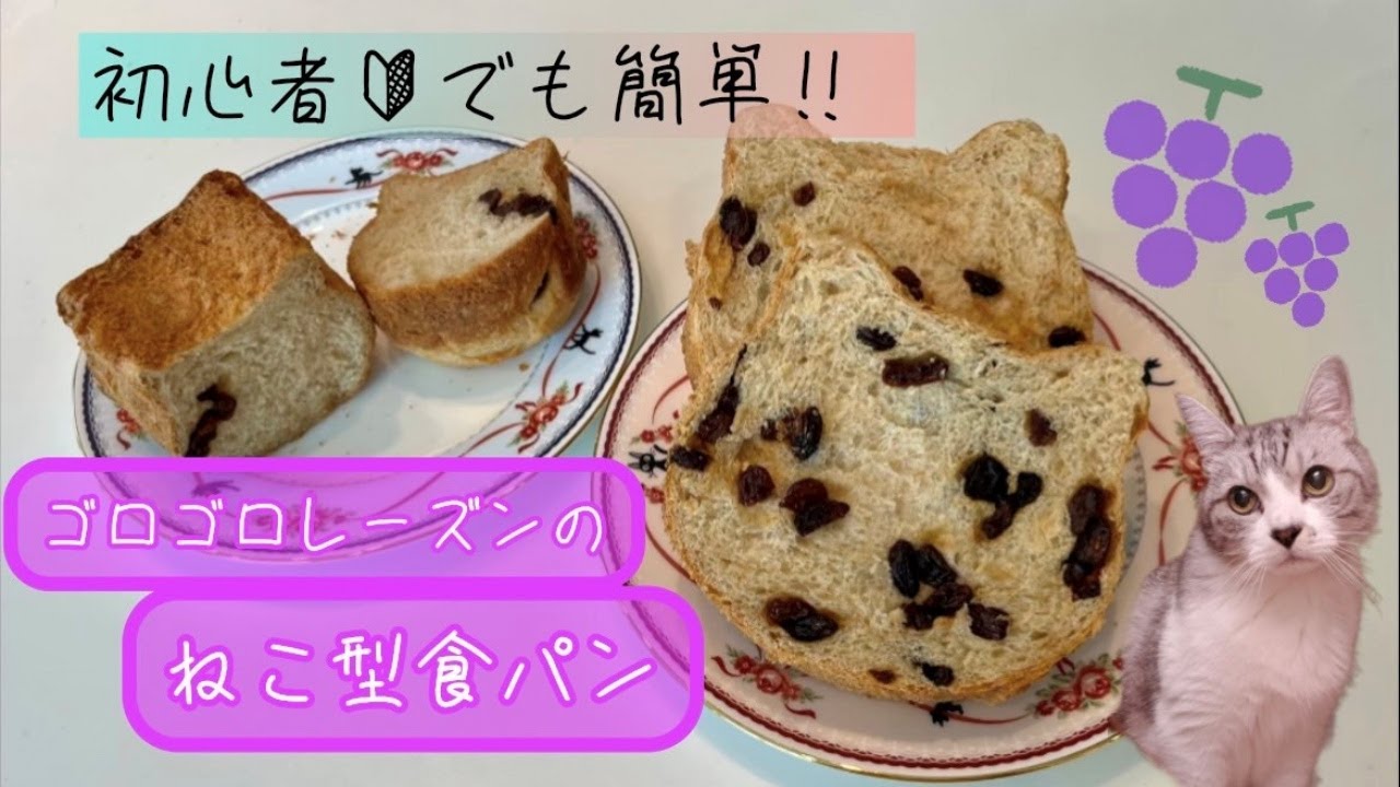 初心者でも簡単‼ごろごろレーズンのねこ型食パン
