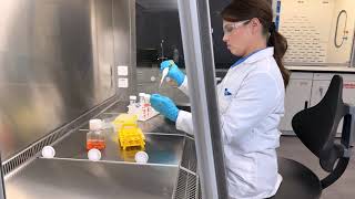 Revo Class Ii, Type A2 Msc