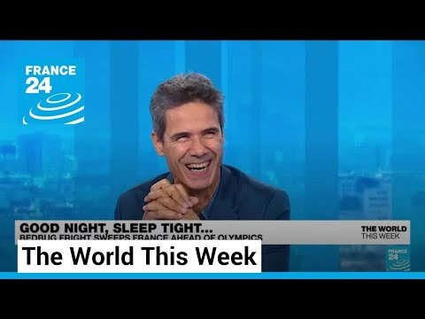 Should we calm our fears about bedbugs in Paris? • FRANCE 24 English