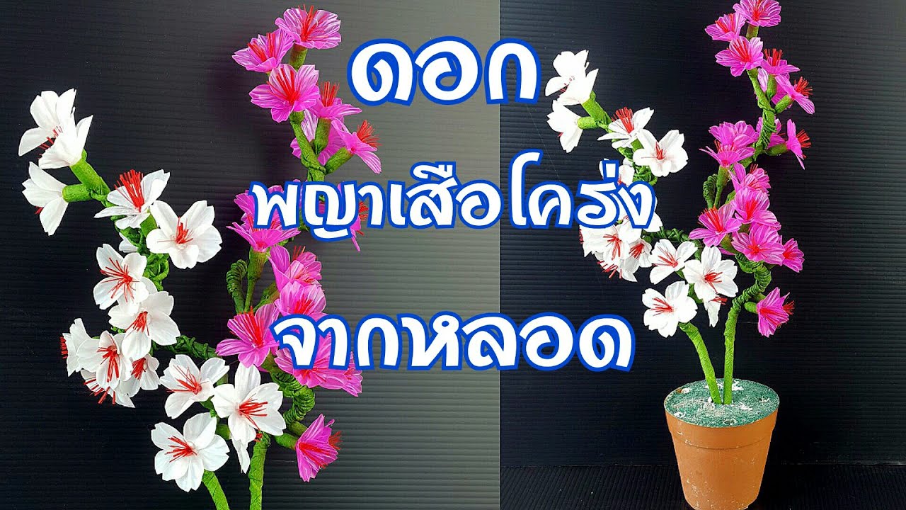 ทำดอกพญาเสือโคร่ง จากหลอดพลาสติก (ซากุระเมืองไทย)| How to mak flowers from tube (Sakura in Thailand)