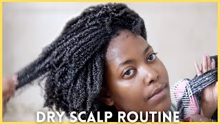 DRY SCALP WASH DAY | Winter Hair Care with Royal Oils | Kinksmas Day 3