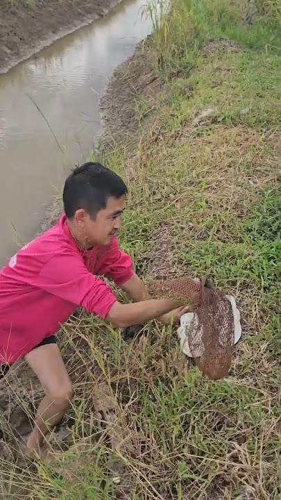 #funny #xcavator #cookinghumor #fishing #nothingimposibleinthisworld #funnycooking