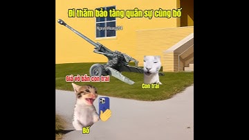 Đi thăm bảo tàng quân sự #meme #catmeme