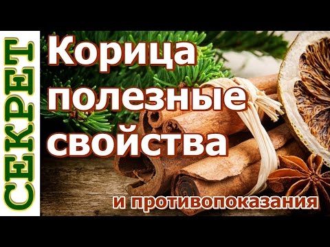 Корица полезные свойства и противопоказания