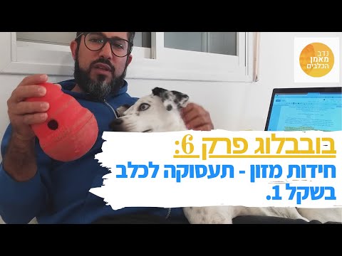 וִידֵאוֹ: 6 שאריות מזון לחג המסוכנות לכלבים