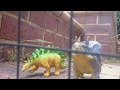 Dino Adventure
